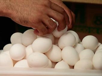 Ovos, proteína de origem animal rica em aminoácidos essenciais. Foto: Mila Cordeiro/ A Tarde