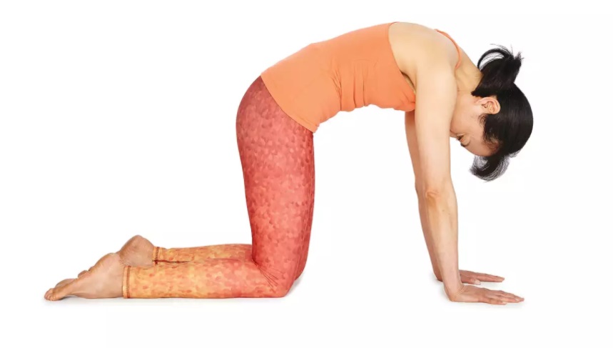 Mulher de blusa laranja e calça vermelha realizando Marjaryasana